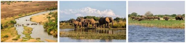 Lower Zambezi National Park Zambia